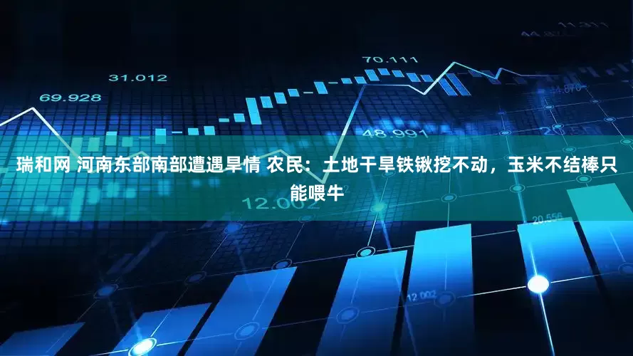 瑞和网 河南东部南部遭遇旱情 农民：土地干旱铁锹挖不动，玉米不结棒只能喂牛