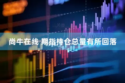 尚牛在线 期指持仓总量有所回落