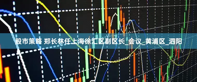 股市策略 郑长林任上海徐汇区副区长_会议_黄浦区_泗阳