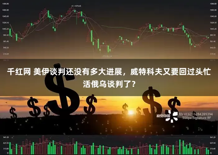千红网 美伊谈判还没有多大进展，威特科夫又要回过头忙活俄乌谈判了？